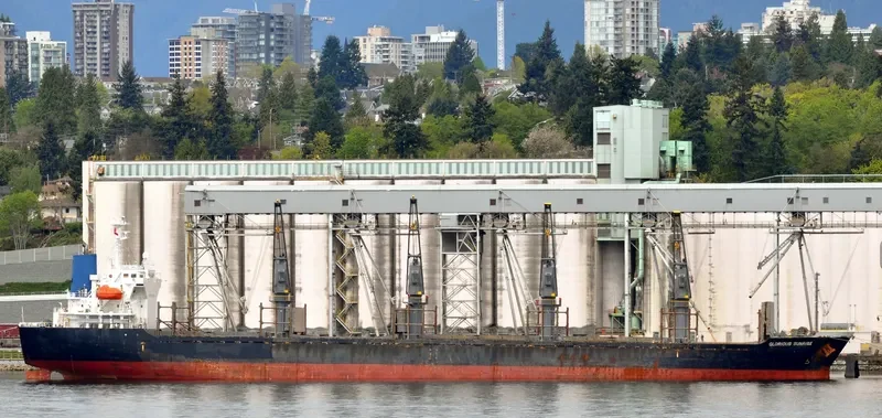 HTK LOTUS Bulk Carrier IMO 9412957