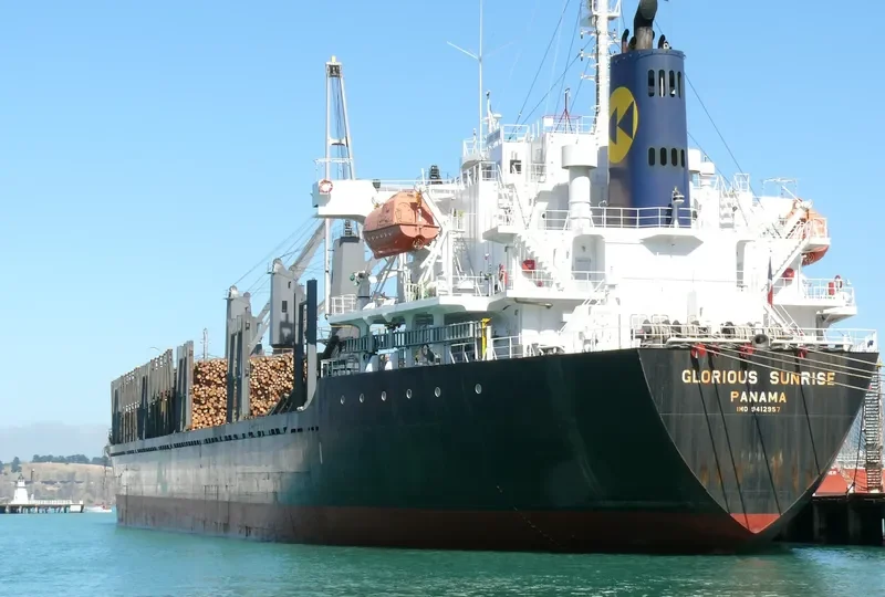 HTK LOTUS Bulk Carrier IMO 9412957 photo 4