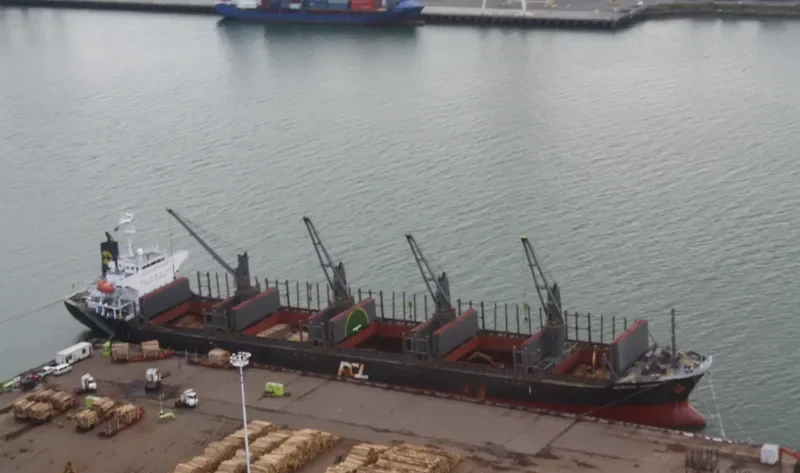 HTK LOTUS Bulk Carrier IMO 9412957 photo 9