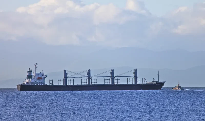 HTK CONFIDENCE Bulk Carrier IMO 9412969 photo 9