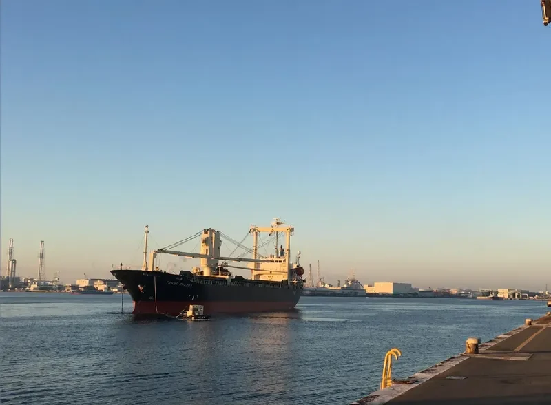 YUSHO CHERRY General Cargo IMO 9412971