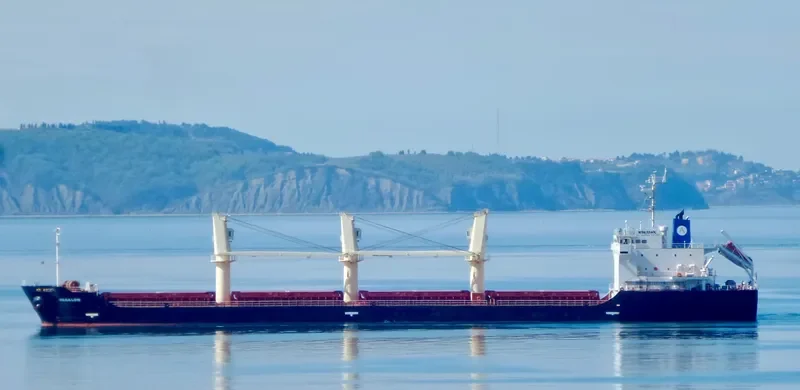 PRINCE RUPERT Bulk Carrier IMO 9413066 photo 3