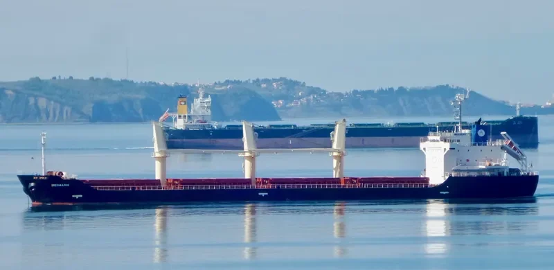 PRINCE RUPERT Bulk Carrier IMO 9413066 photo 5