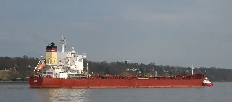 IOANNIS R Bulk Carrier IMO 9413418 photo 5