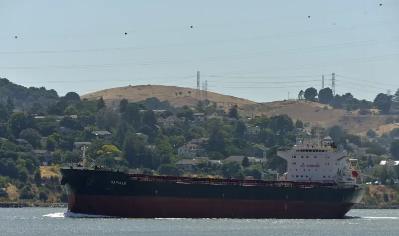 RAPALLO Bulk Carrier IMO 9413690
