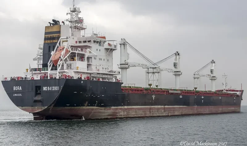 REDHEAD Bulk Carrier IMO 9413901 photo 5