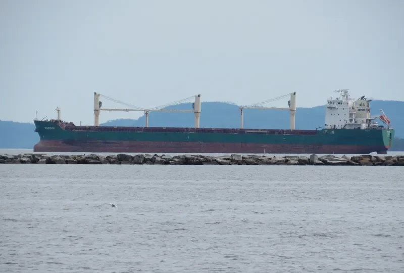 MACCOA Bulk Carrier IMO 9413913 photo 13
