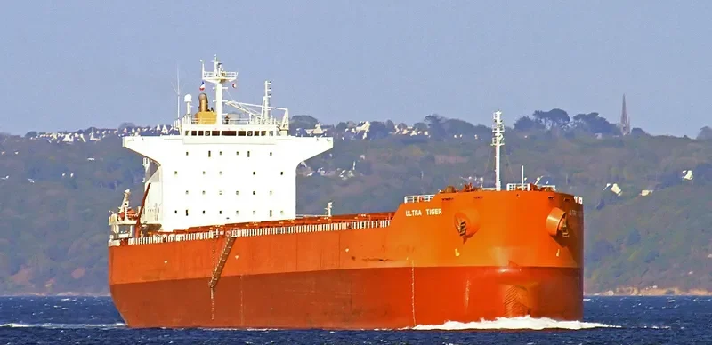 ULTRA TIGER Bulk Carrier IMO 9414149 photo 8