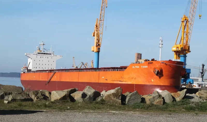 ULTRA TIGER Bulk Carrier IMO 9414149 photo 9