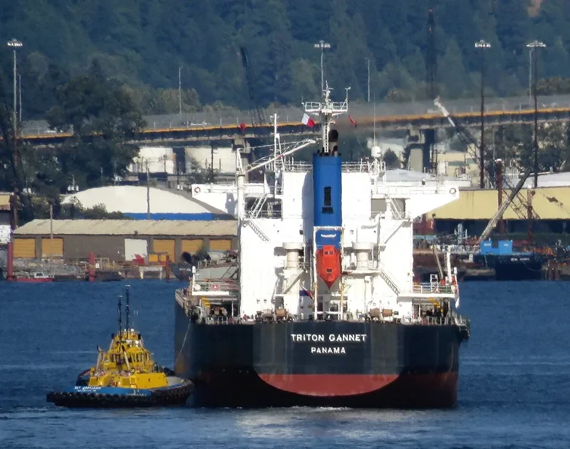 MARIA D Bulk Carrier IMO 9414151