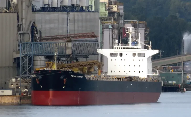 MARIA D Bulk Carrier IMO 9414151 photo 5