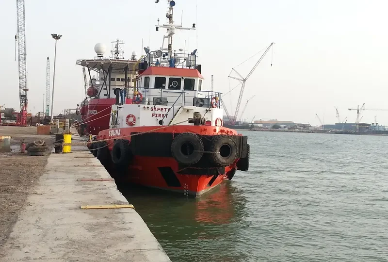 SOUNA General Cargo IMO 9414175