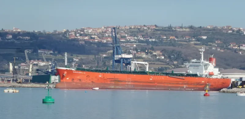BRUNSWICK Tanker IMO 9414280 photo 2