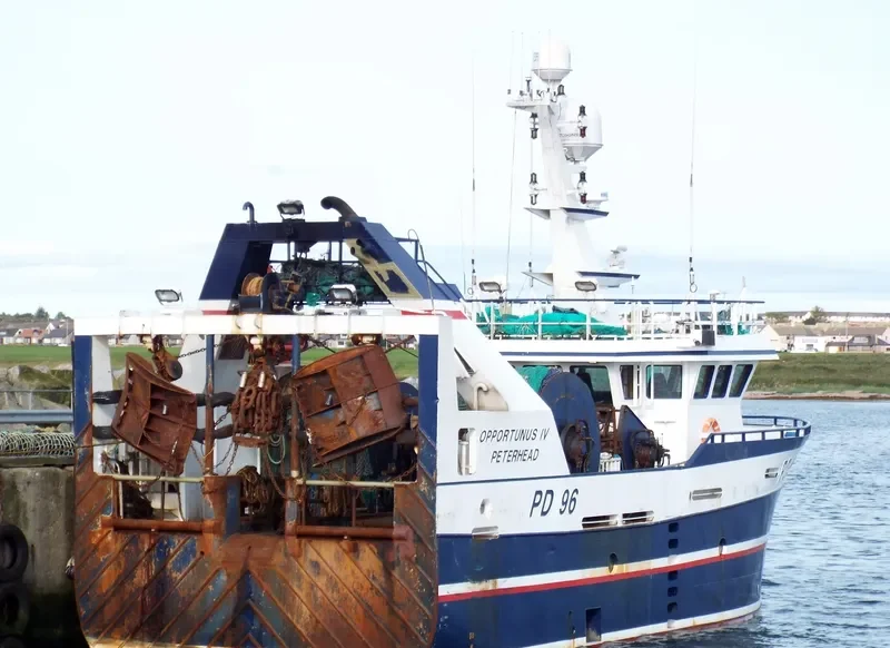 OPPORTUNUS IV General Cargo IMO 9414694 photo 5
