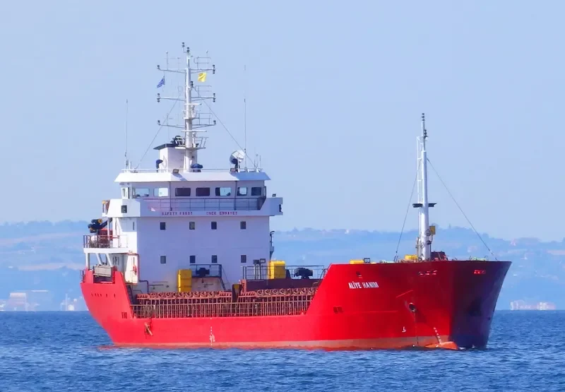 ALIYE HANIM General Cargo IMO 9414723 photo 8