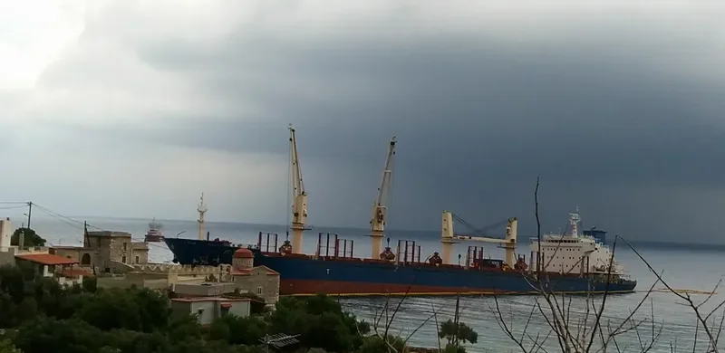 ST.GREGORY Bulk Carrier IMO 9414759