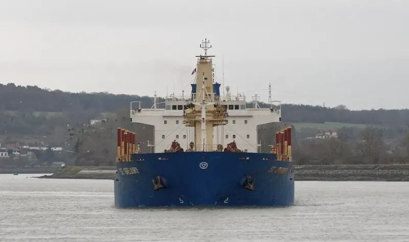 ST.GREGORY Bulk Carrier IMO 9414759 photo 5