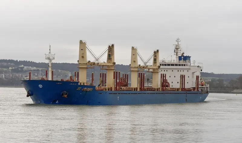 ST.GREGORY Bulk Carrier IMO 9414759 photo 6