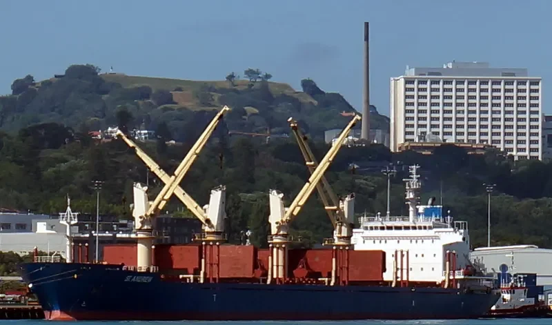 ST.ANDREW Bulk Carrier IMO 9414761 photo 5