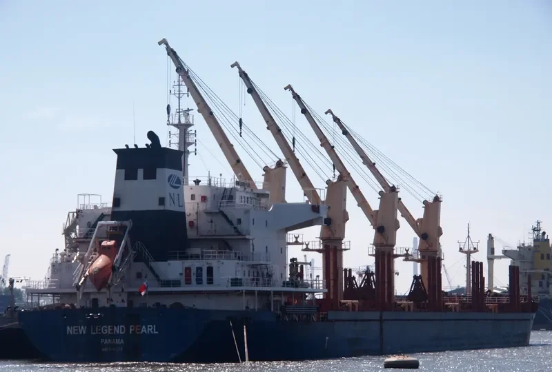 NEW LEGEND PEARL Bulk Carrier IMO 9414773 photo 3