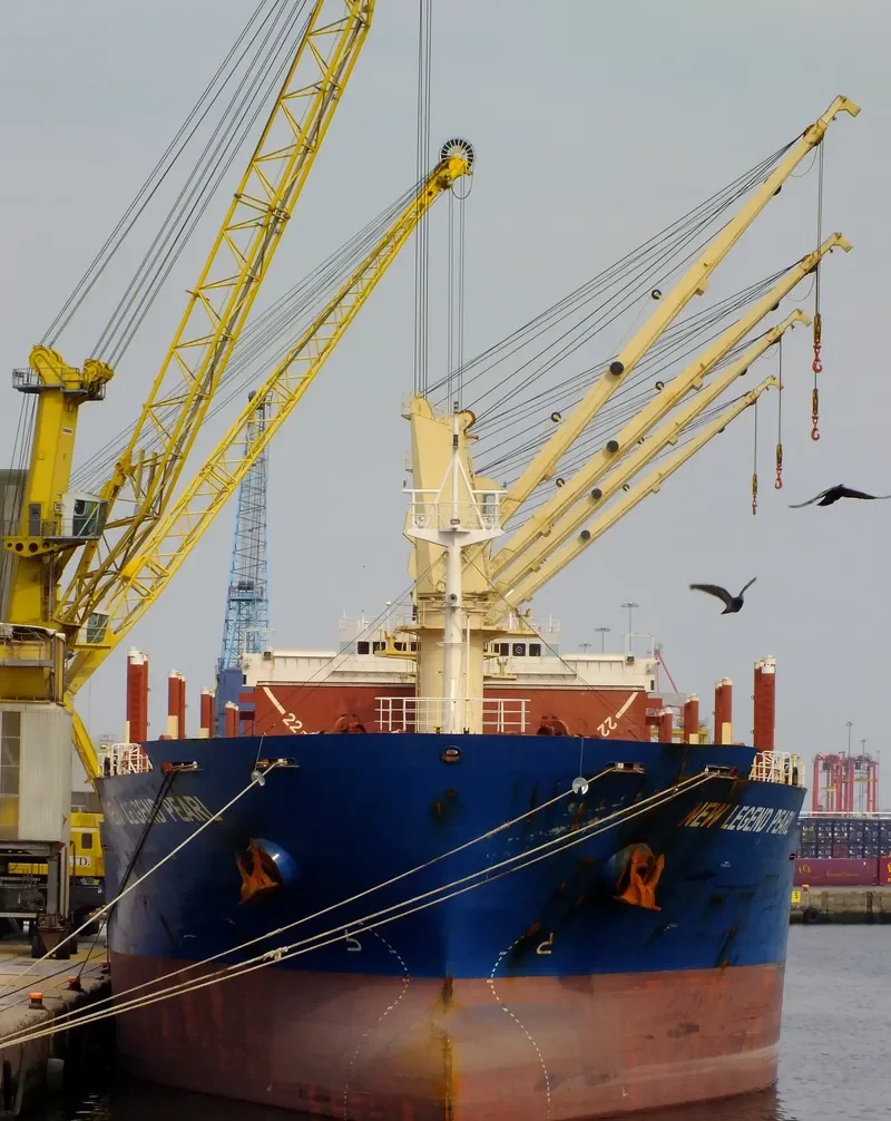 NEW LEGEND PEARL Bulk Carrier IMO 9414773 photo 10