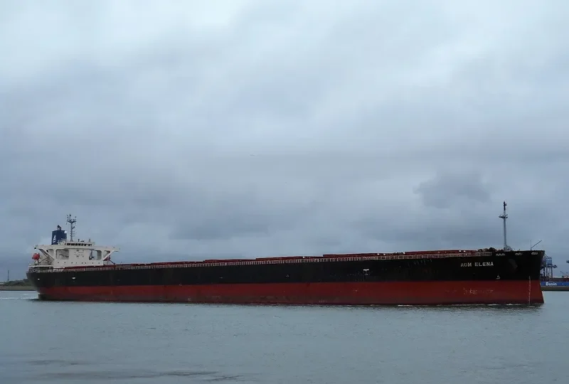 AOM ELENA Bulk Carrier IMO 9414888