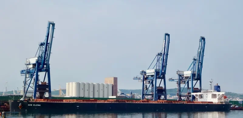 AOM ELENA Bulk Carrier IMO 9414888 photo 5