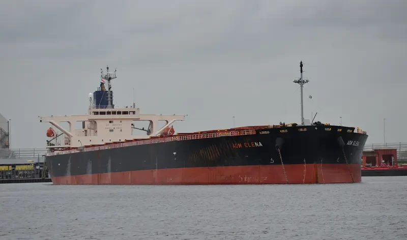 AOM ELENA Bulk Carrier IMO 9414888 photo 10