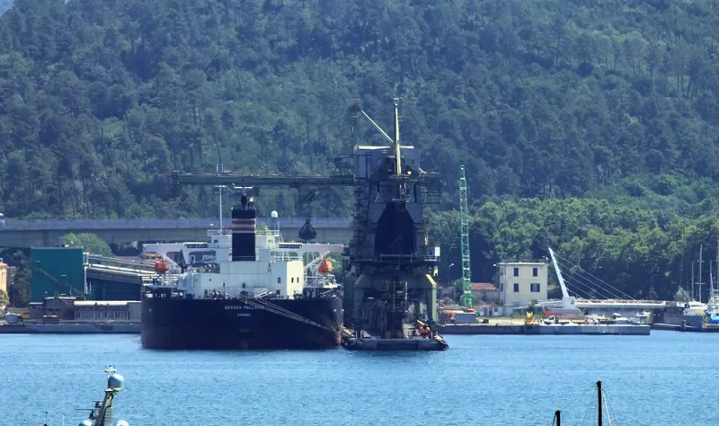 ANDREA PALLADIO Bulk Carrier IMO 9414890