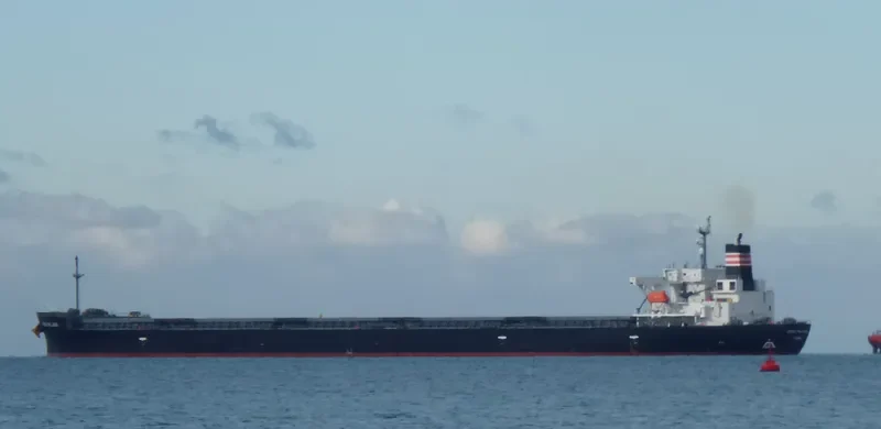 ANDREA PALLADIO Bulk Carrier IMO 9414890 photo 2