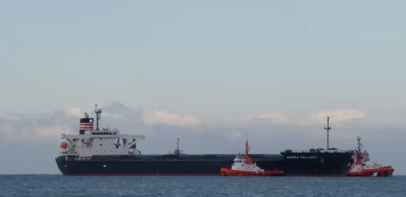 ANDREA PALLADIO Bulk Carrier IMO 9414890 photo 4