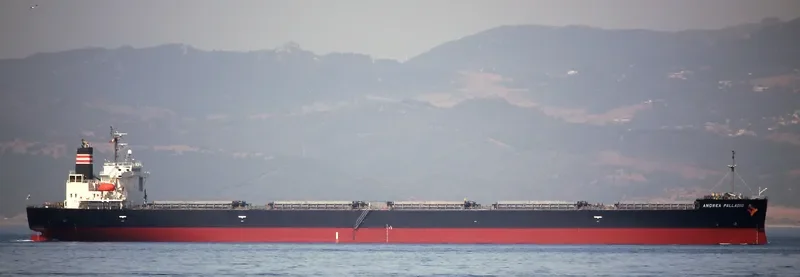 ANDREA PALLADIO Bulk Carrier IMO 9414890 photo 7