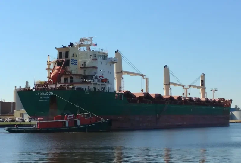 LABRADOR Bulk Carrier IMO 9415222 photo 10