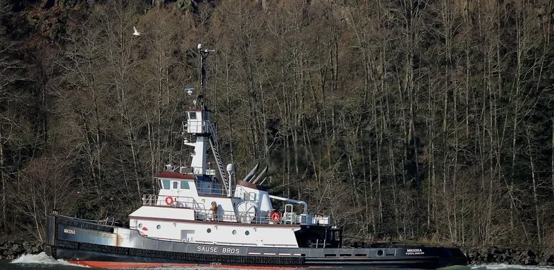 MIKIONA General Cargo IMO 9415583 photo 3