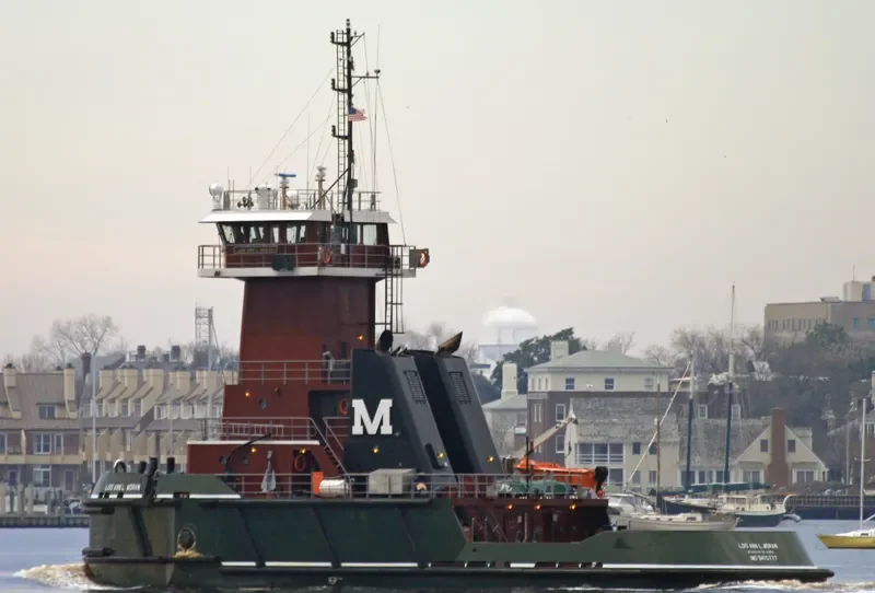 LOIS ANN L.MORAN General Cargo IMO 9415777 photo 9