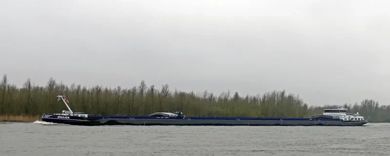 AVALON General Cargo IMO 9416214 photo 8