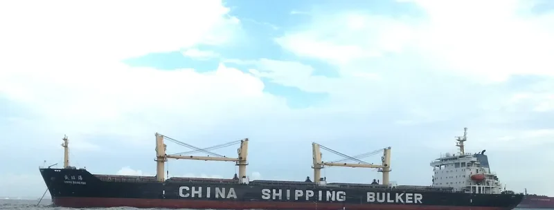 SHENG WANG HAI Bulk Carrier IMO 9416549