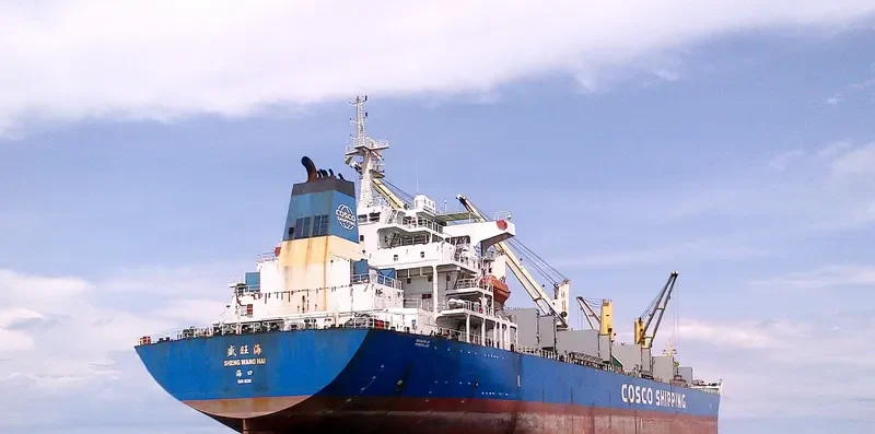 SHENG WANG HAI Bulk Carrier IMO 9416549 photo 5
