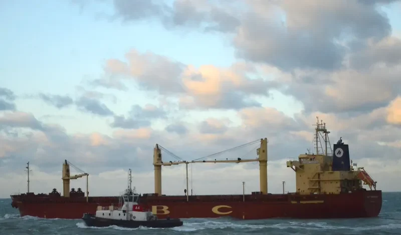 UBC TARRAGONA Bulk Carrier IMO 9416719 photo 3