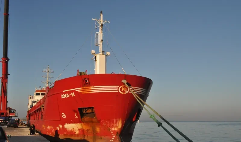 ANA N General Cargo IMO 9416850 photo 8