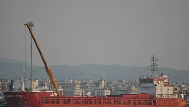 ANA N General Cargo IMO 9416850 photo 10