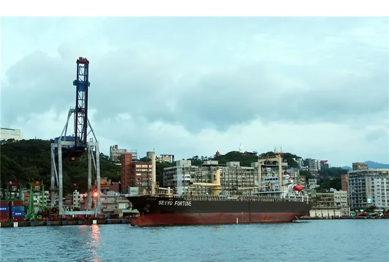 SEIYO FORTUNE General Cargo IMO 9417048