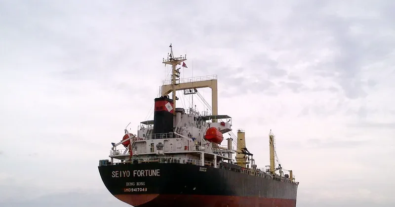 SEIYO FORTUNE General Cargo IMO 9417048 photo 7