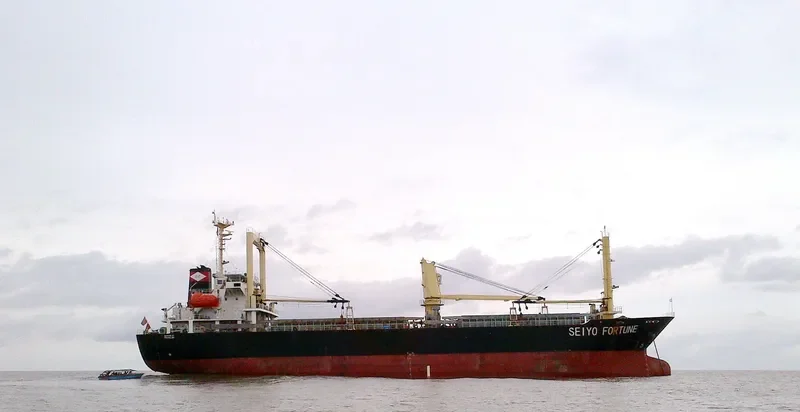 SEIYO FORTUNE General Cargo IMO 9417048 photo 8