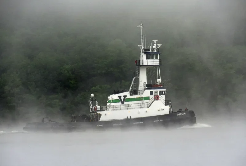 CHOPTANK General Cargo IMO 9417074 photo 6