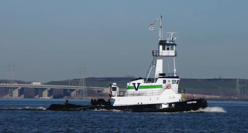CHOPTANK General Cargo IMO 9417074 photo 10
