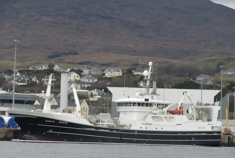QUANTUS PD379 General Cargo IMO 9417294 photo 10