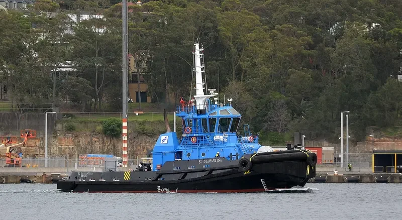SL DIAMANTINA General Cargo IMO 9417505 photo 9