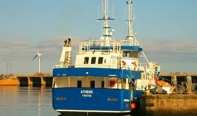 ATHENE General Cargo IMO 9417660 photo 9