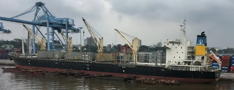 COSCO WUYISHAN Bulk Carrier IMO 9418303 photo 3